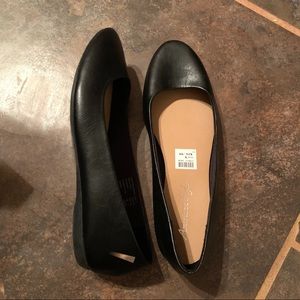 American Eagle Flats